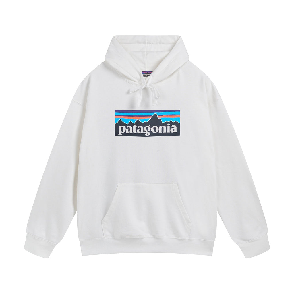 patagonia terry hoodie