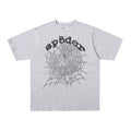 Sp5der Web Graphic T-Shirt (Grey / White )
